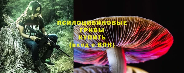 бутират Белая Холуница