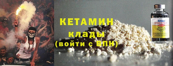 шишки Билибино