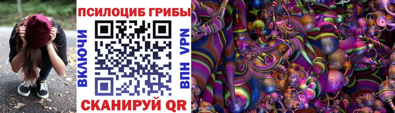 купить  цена  Приморско-Ахтарск  Галлюциногенные грибы прущие грибы 